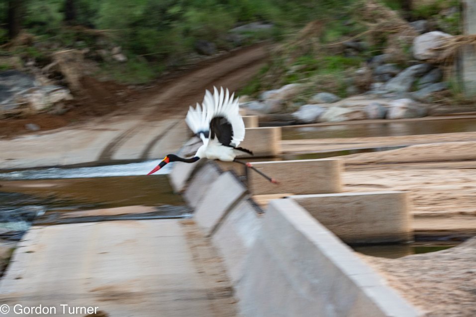 <h2>The Best of South Africa Escorted 2023</h2> 14 Nights | 6 Rounds | March 11 - 25